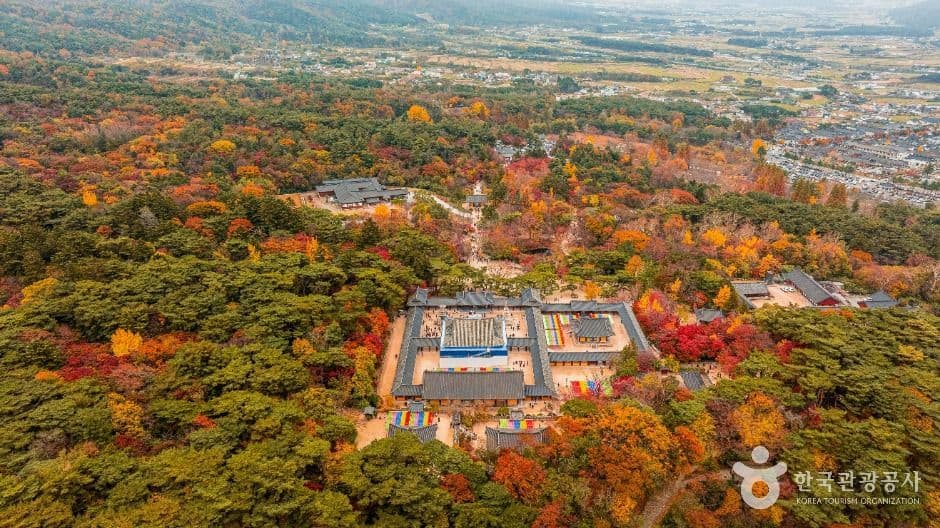 경주 불국사 [유네스코 세계유산] 사진 1