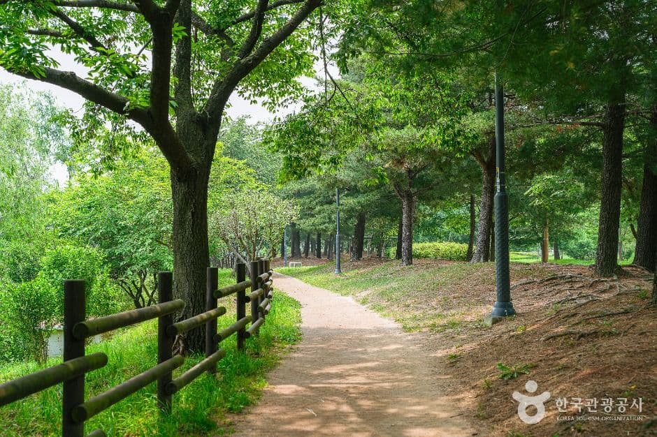 서호공원 사진 4