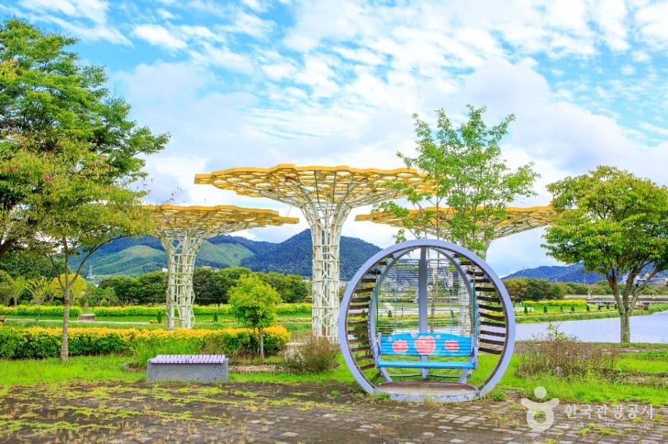 황룡강 생태공원 사진 3