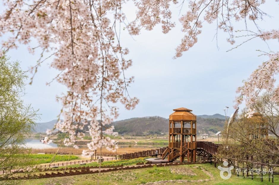 남지개비리길 사진 1
