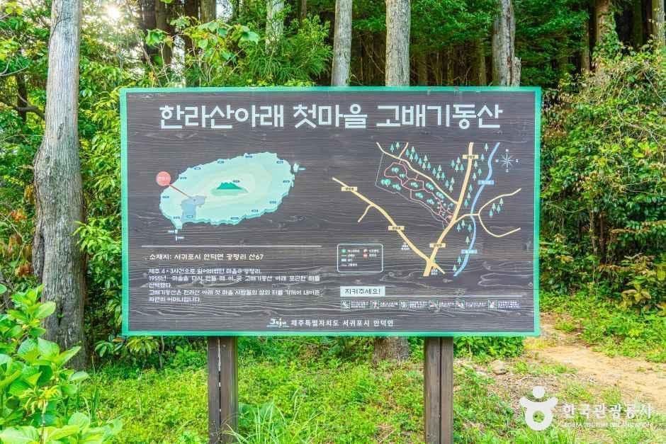 고배기동산 사진 4