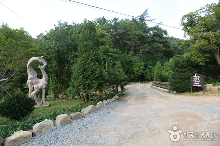 횡성자연휴양림