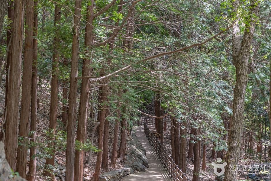 성지곡수원지 사진 2