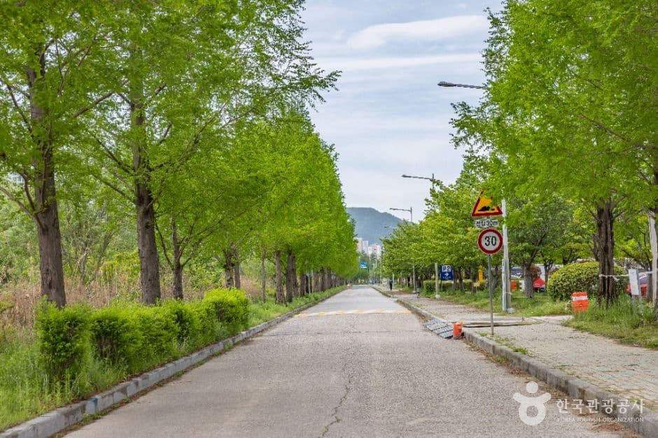 화명생태공원 사진 7