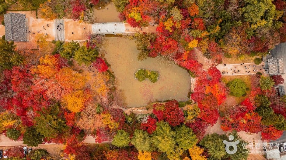 경주 불국사 [유네스코 세계유산] 사진 2