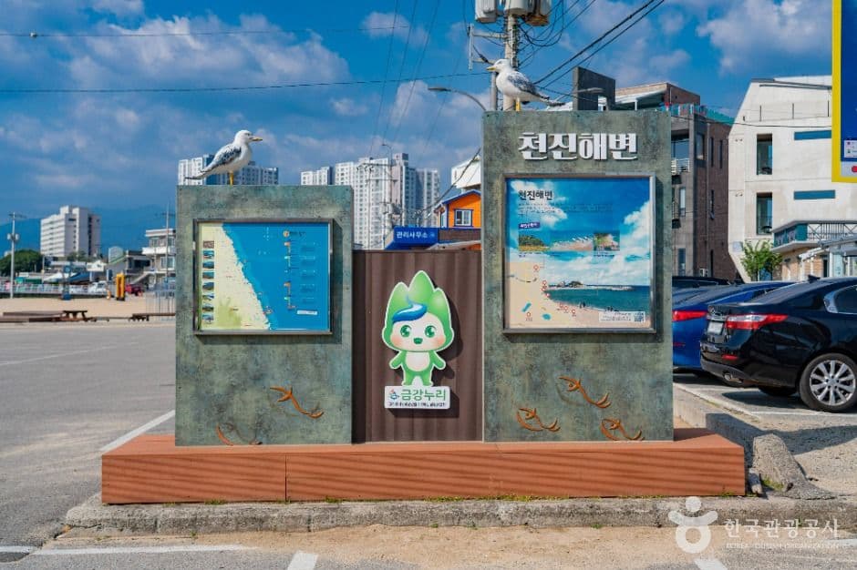 천진해변 사진 6