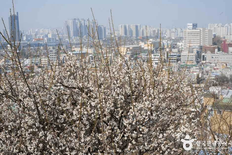 대동하늘공원 사진 4