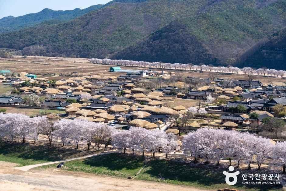 안동 하회마을 [유네스코 세계유산] 사진 6