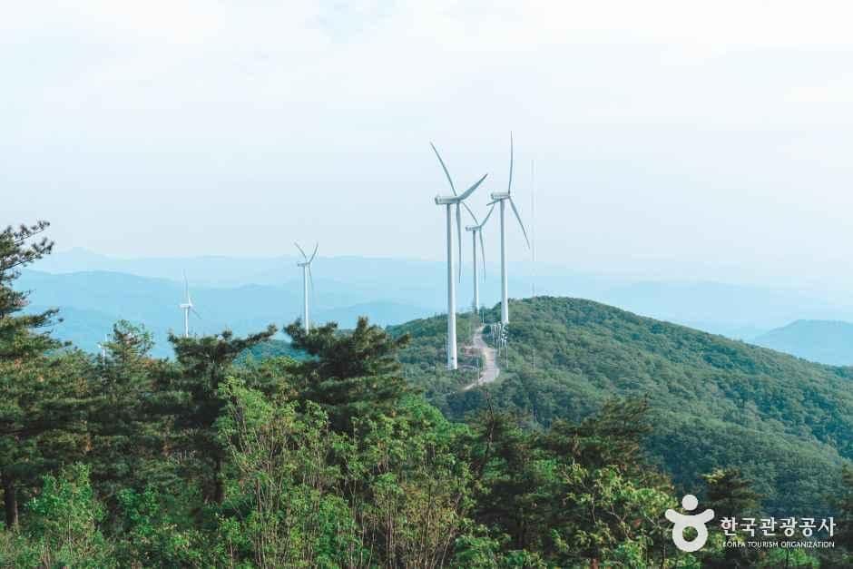태기산 사진 1