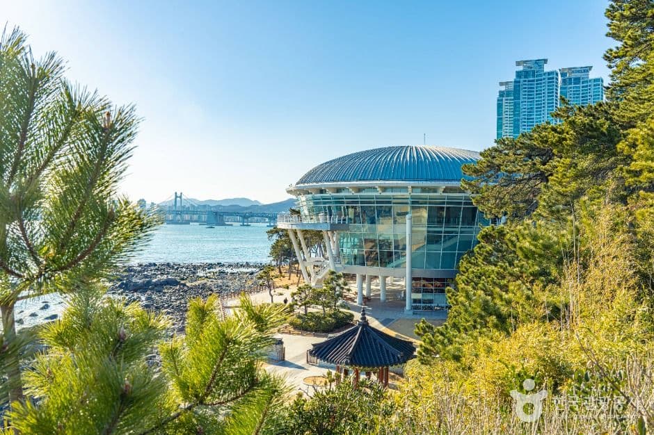 동백공원 사진 5