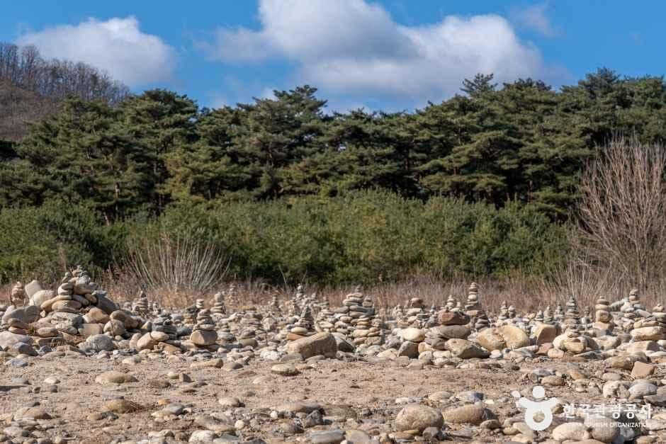영월 청령포 사진 7