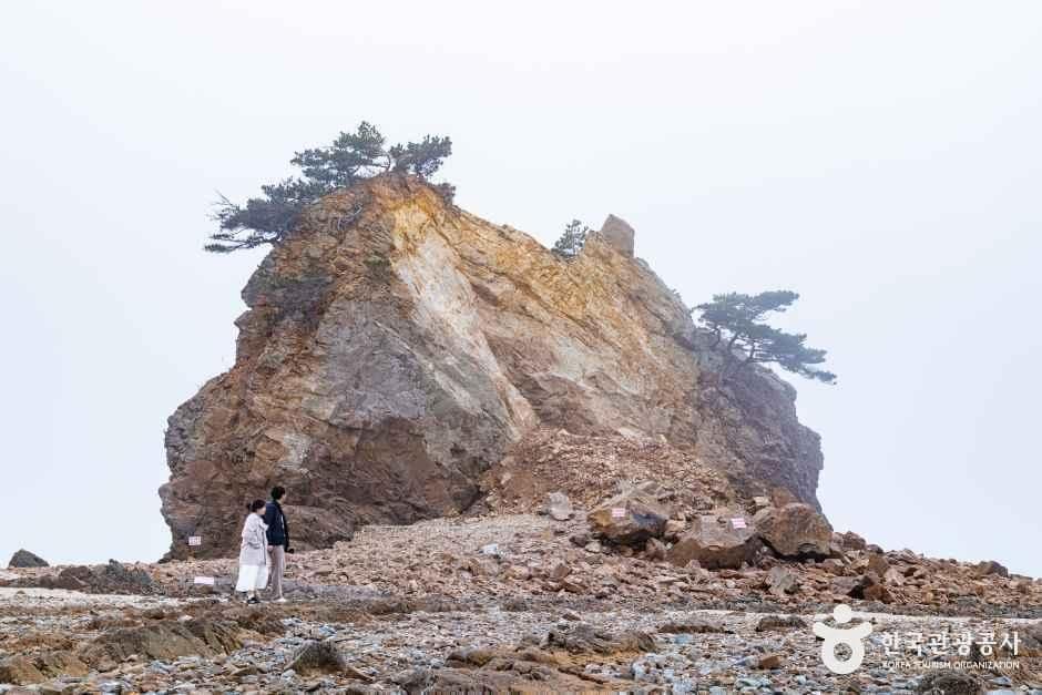 꽃지해수욕장 사진 4