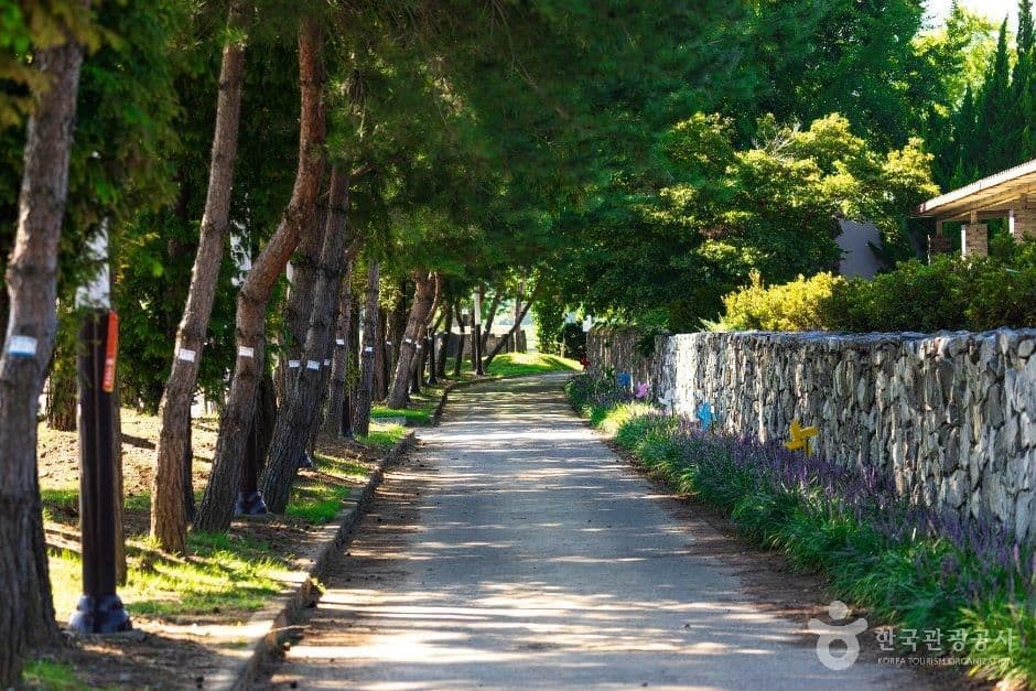 솔뫼성지 사진 6