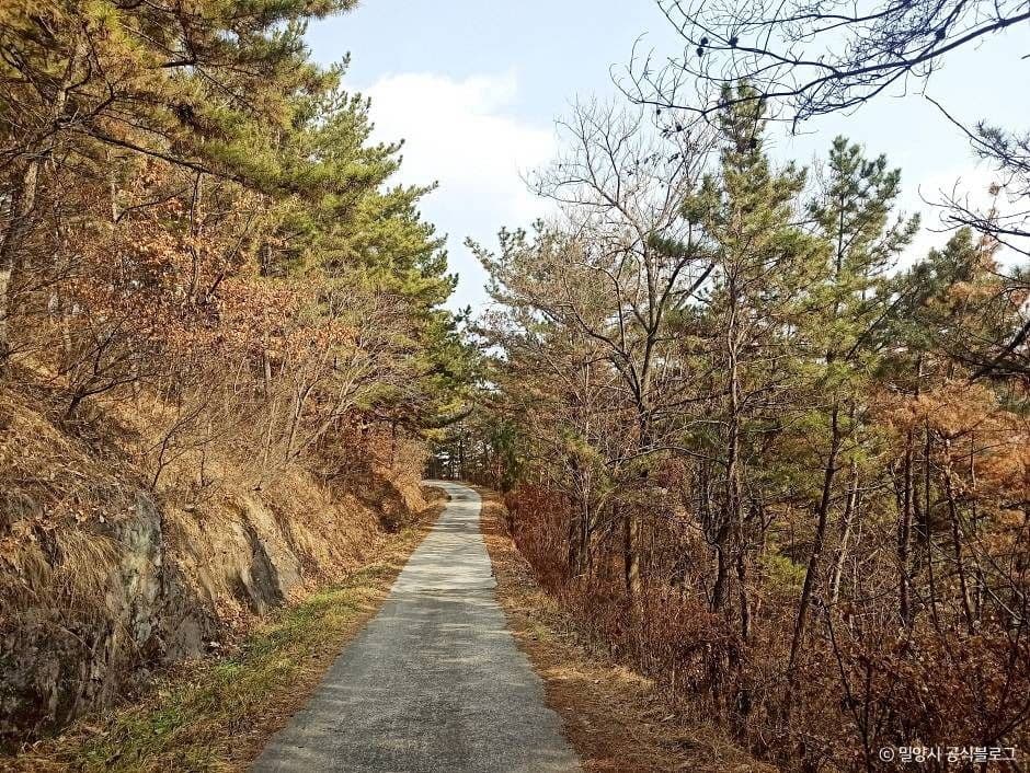 종남산(밀양)