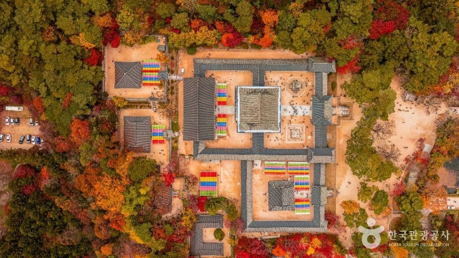 경주 불국사 [유네스코 세계유산] 사진 3
