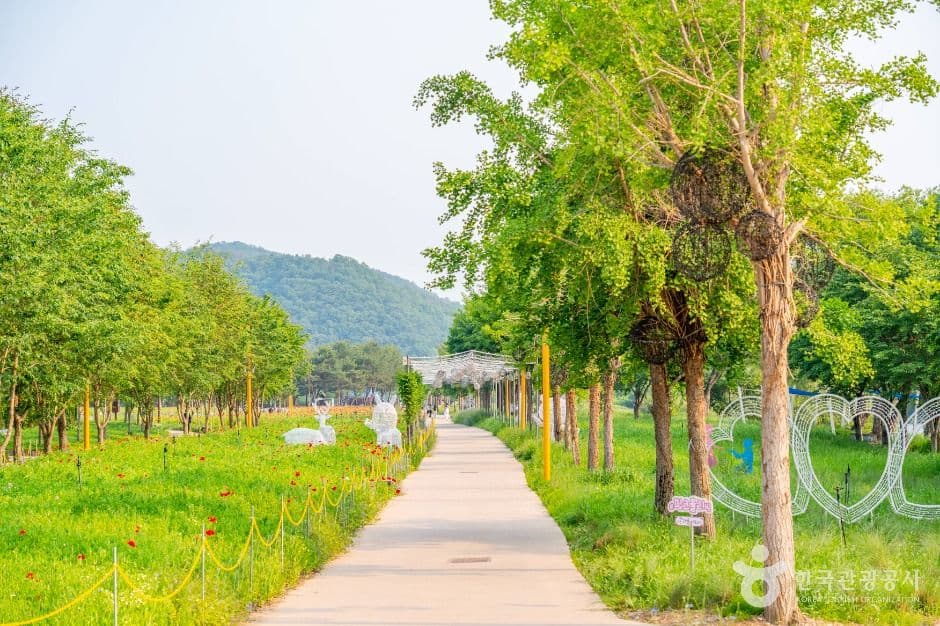 자라섬 사진 5