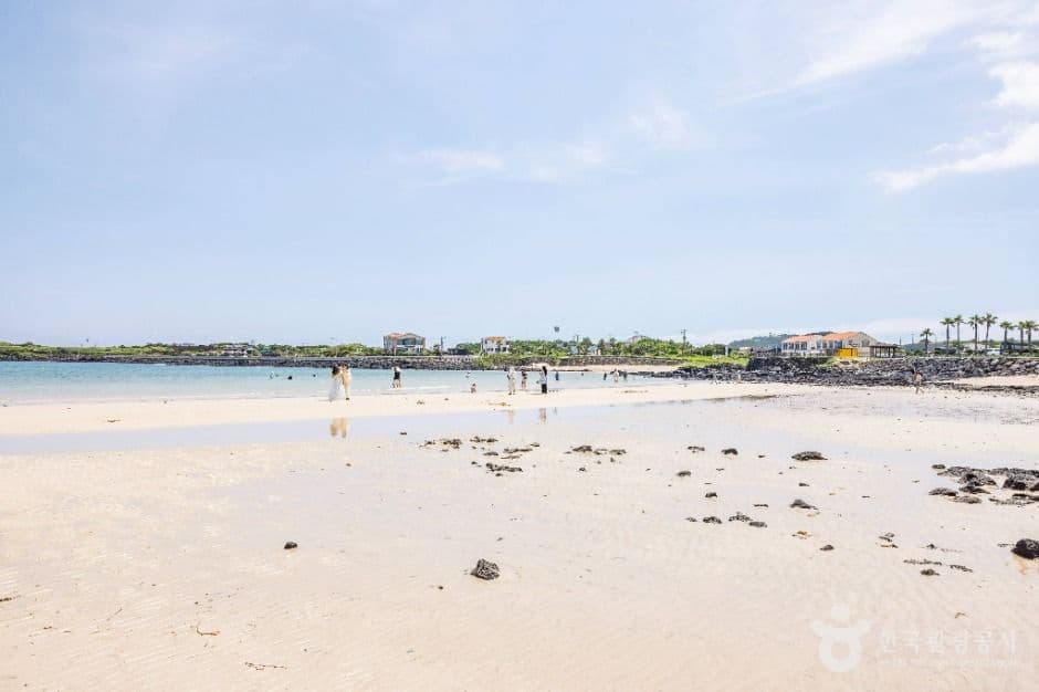 하고수동해변 사진 5
