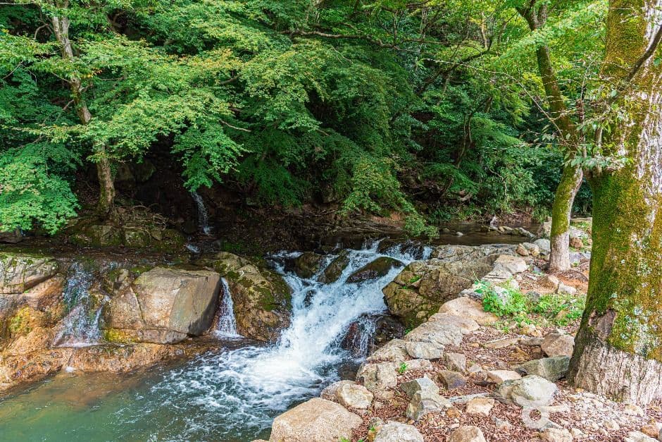 두륜산도립공원 사진 3