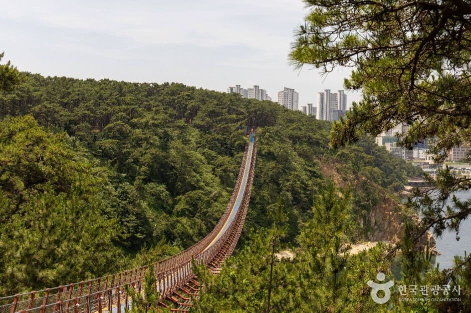 대왕암공원 출렁다리 사진 2