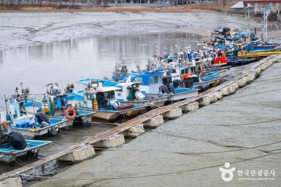 소래포구 사진 3