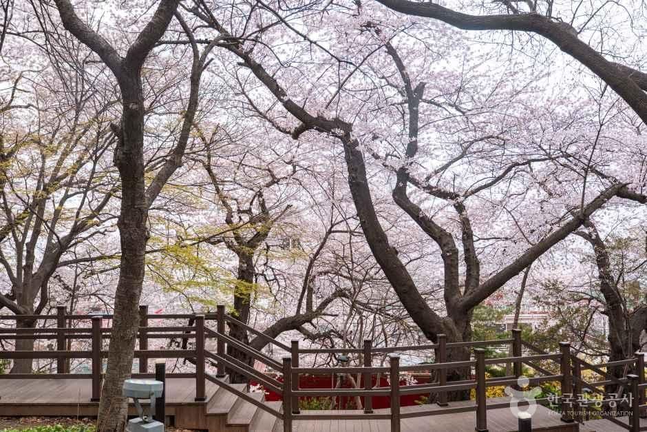 자유공원(인천)