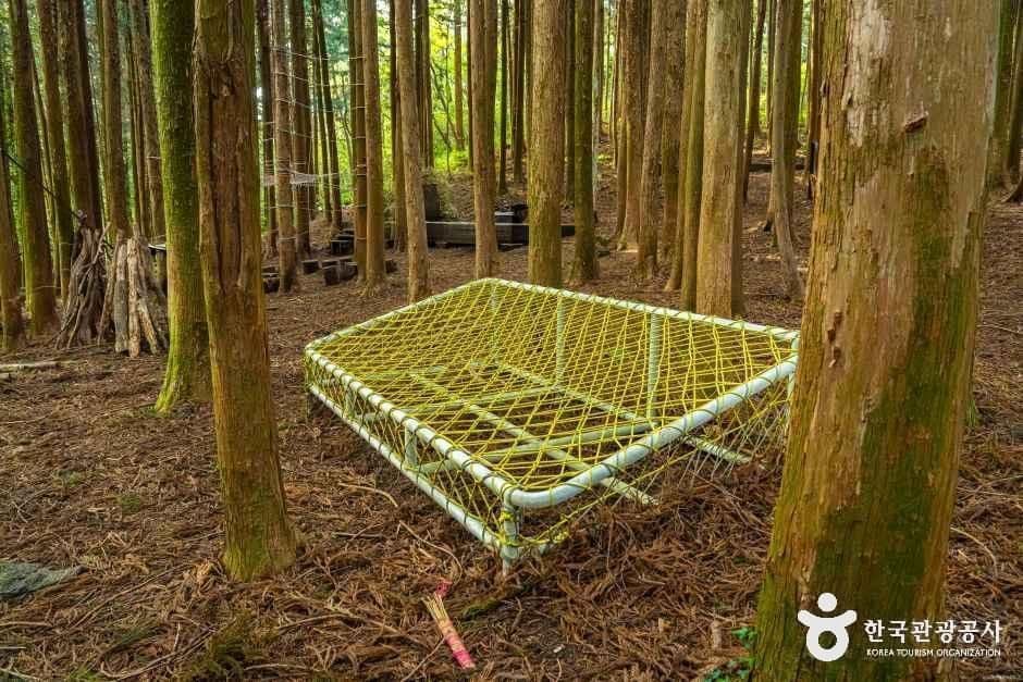 고배기동산 사진 6