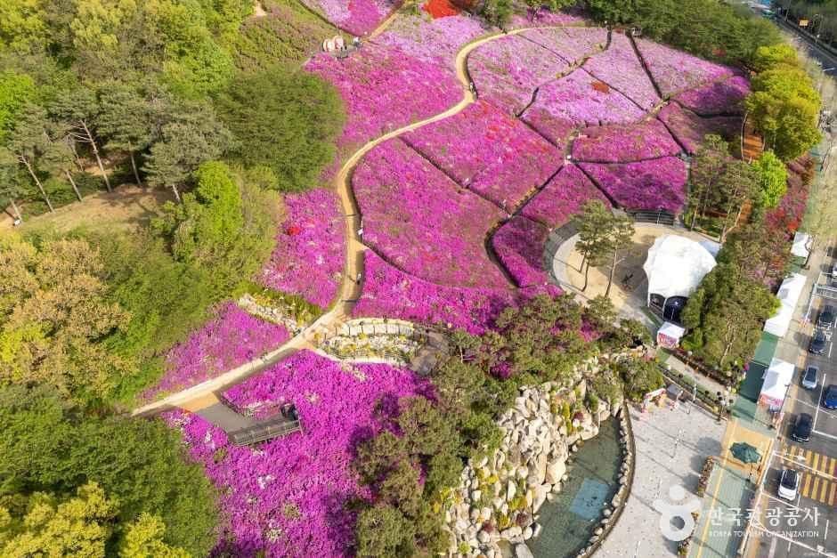 철쭉동산 사진 2