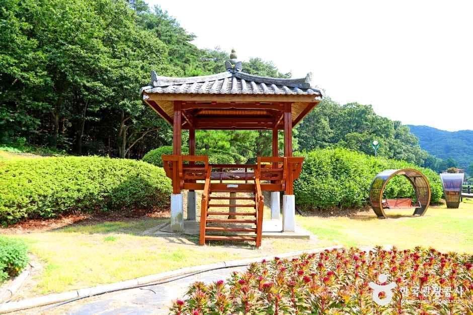 속리산연꽃단지 사진 3