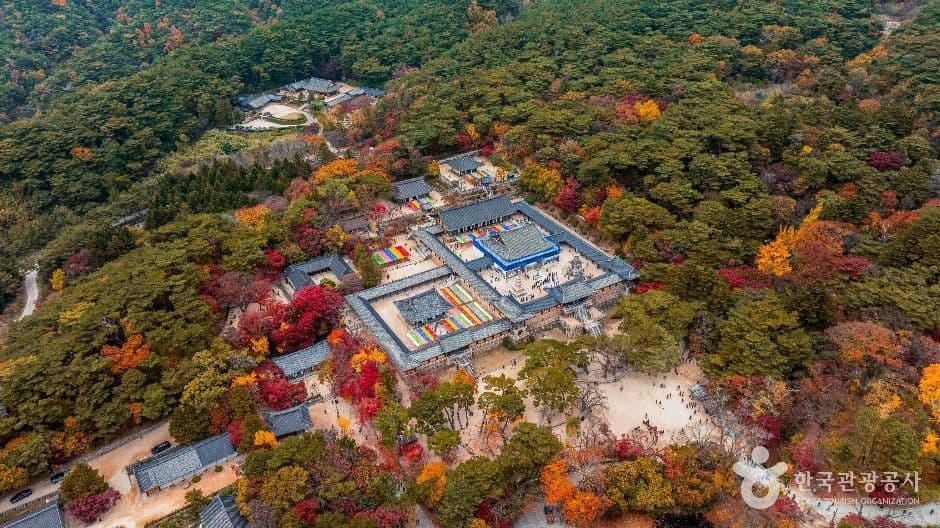 경주 불국사 [유네스코 세계유산] 사진 4