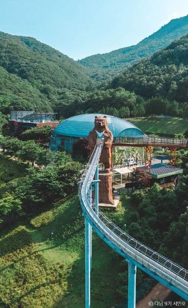 제암산자연휴양림 사진 4