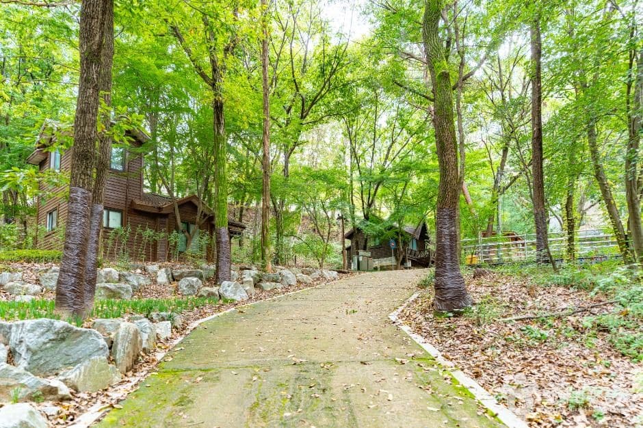 아산 영인산자연휴양림 사진 2