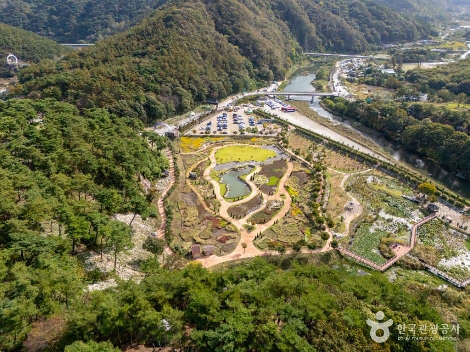 정읍 구절초 지방정원 사진 2