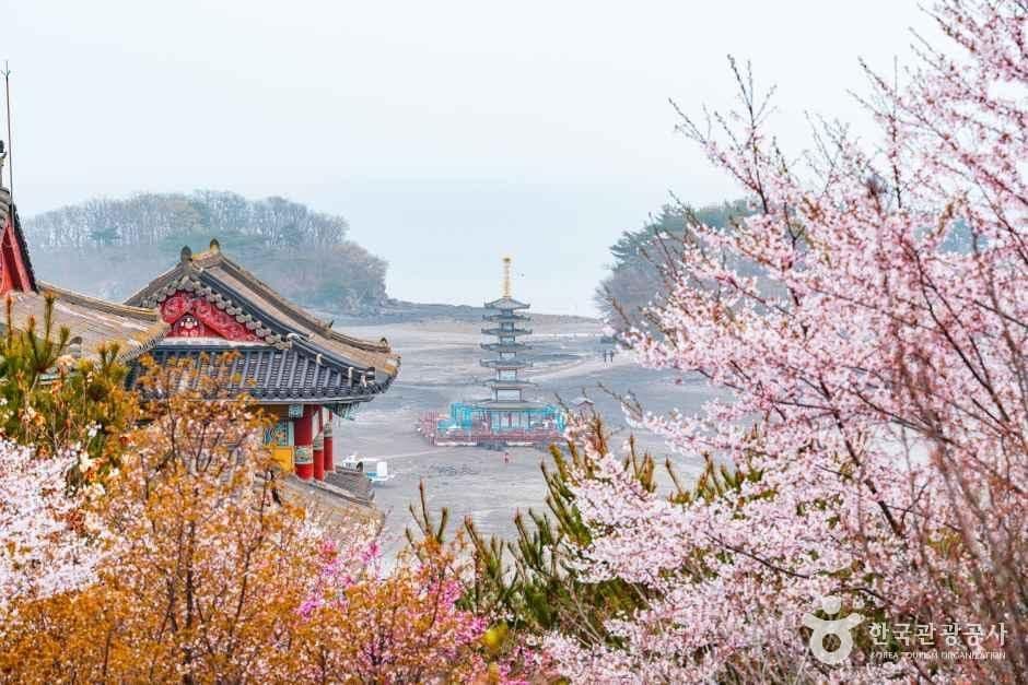 안면암(태안) 사진 1