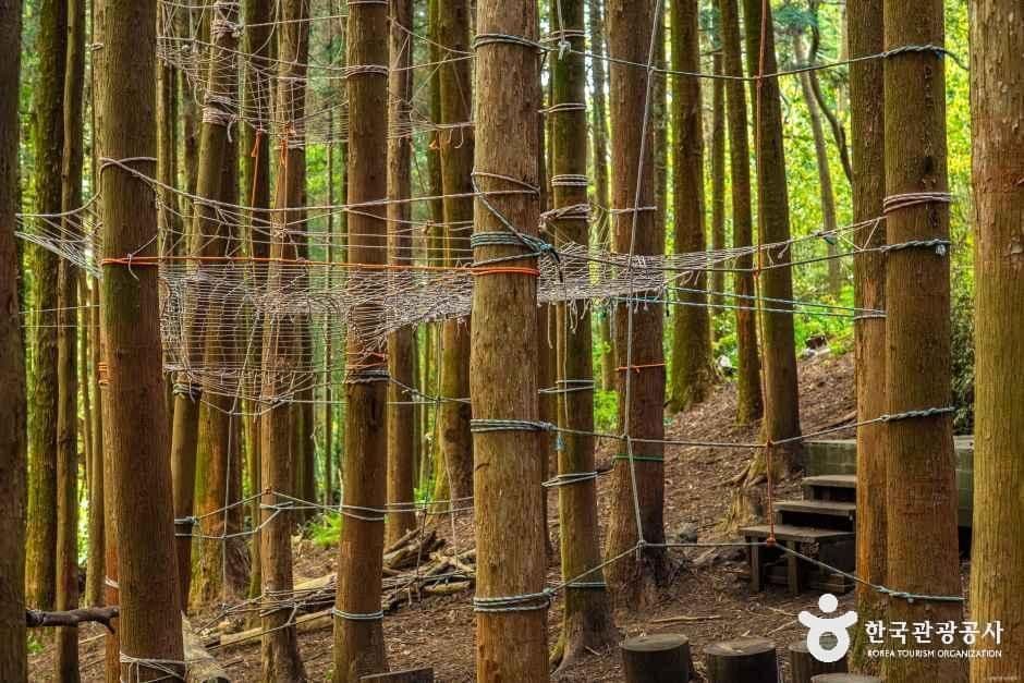 고배기동산 사진 7