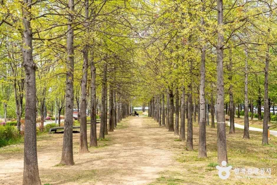 글빛누리공원 사진 1