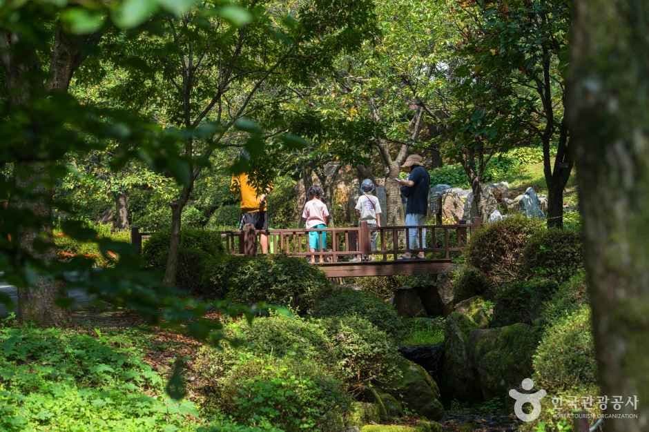 용인자연휴양림 사진 1