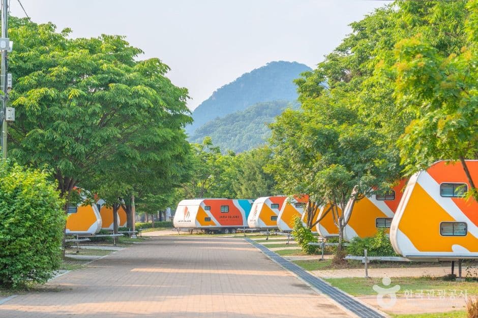 자라섬 사진 6