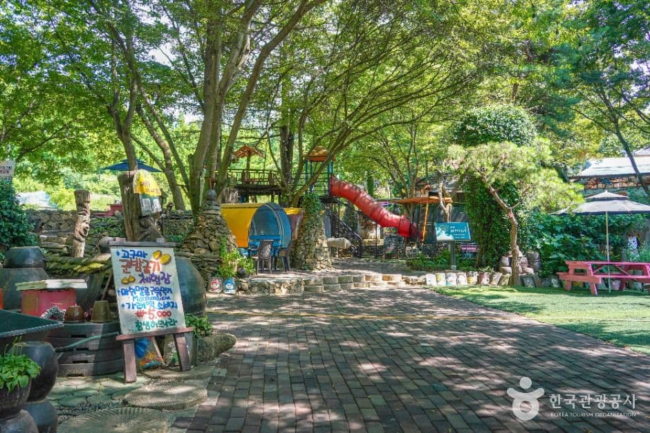 참샘허브나라 사진 3