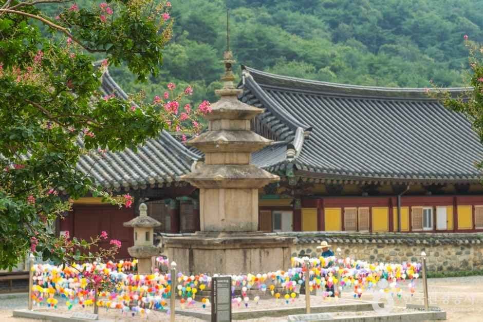 표충사(밀양) 사진 1
