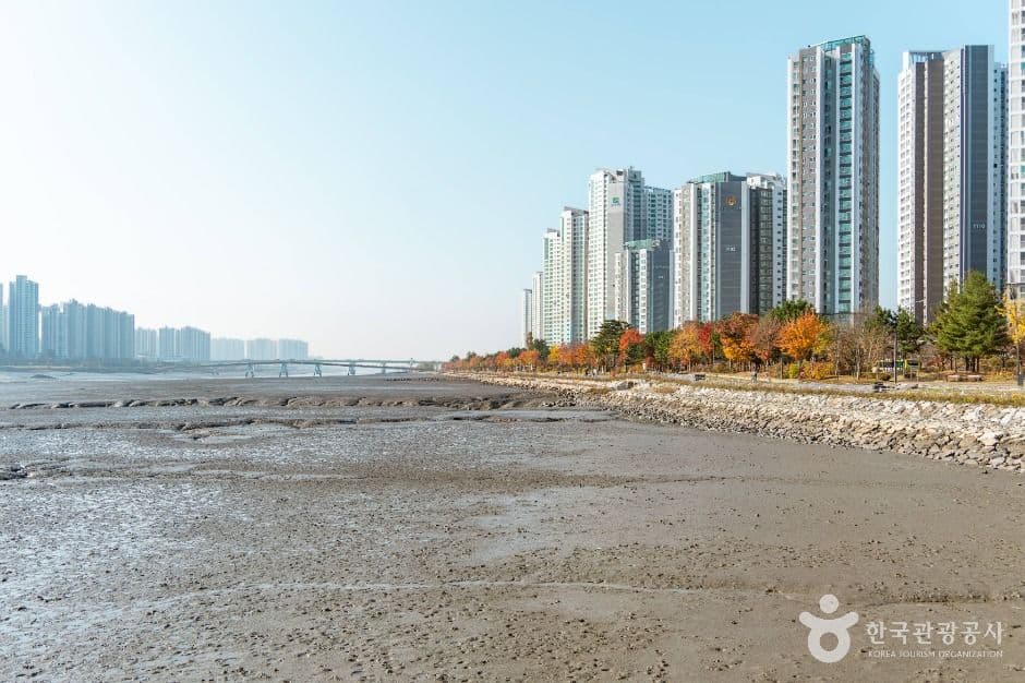 소래포구해오름광장 사진 1