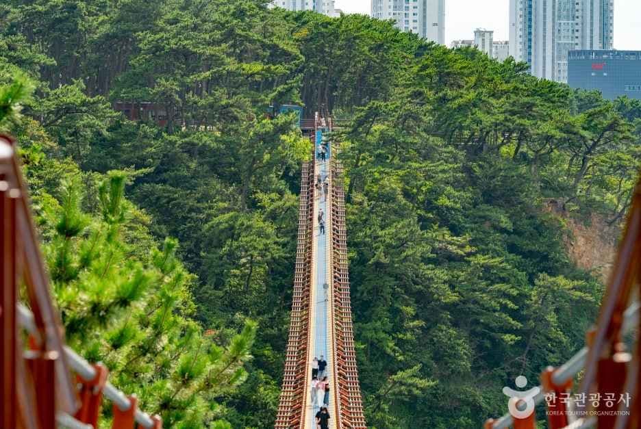 대왕암공원 출렁다리 사진 3
