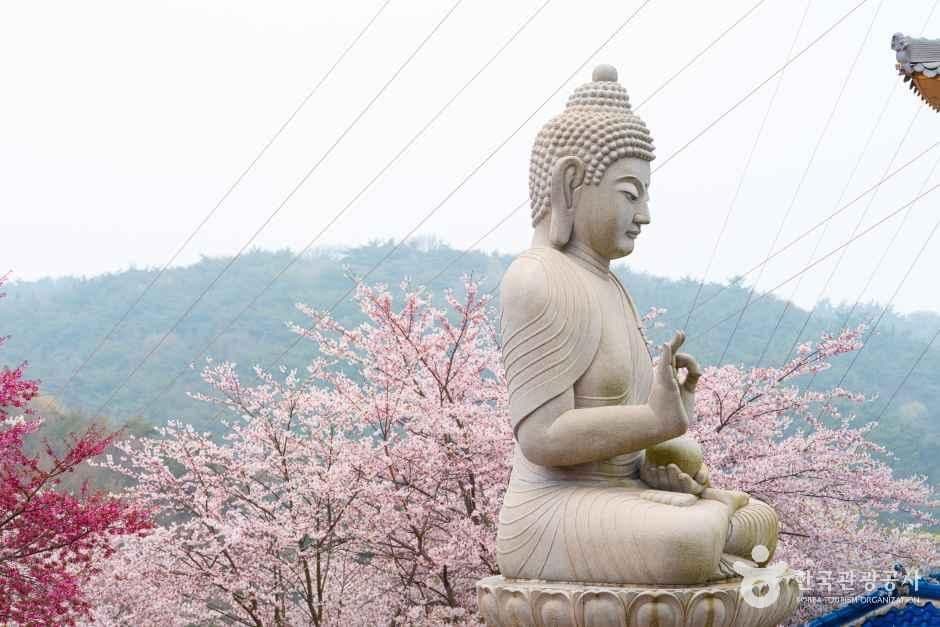 안면암(태안) 사진 2