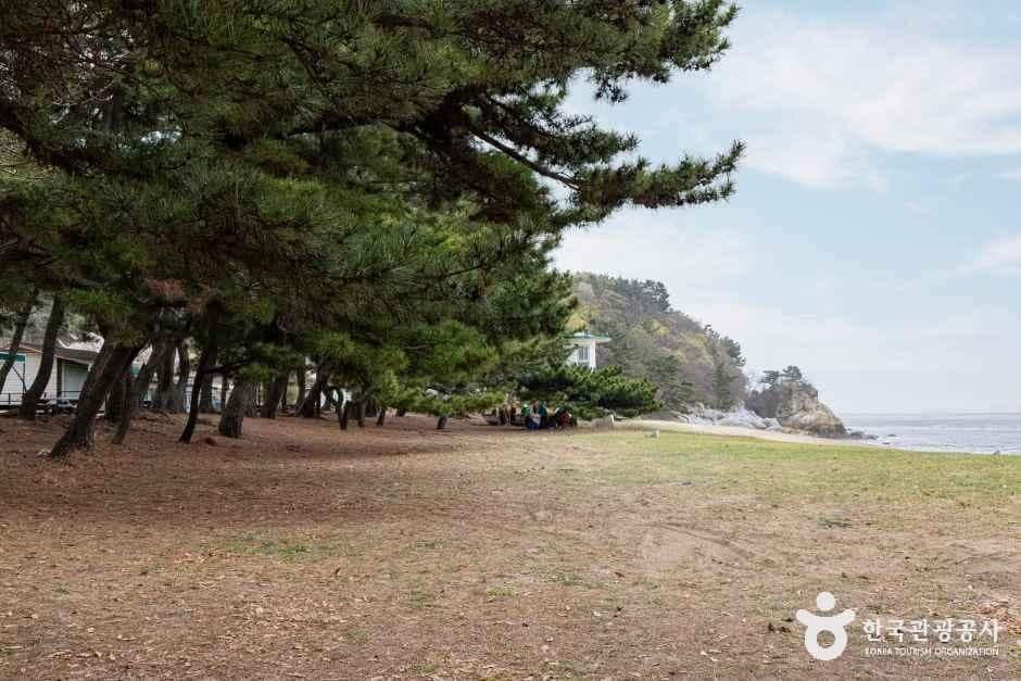 장봉도 한들해수욕장 사진 5