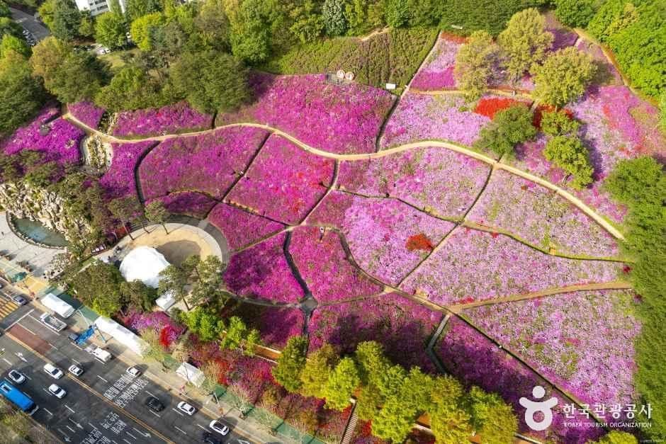 철쭉동산 사진 3