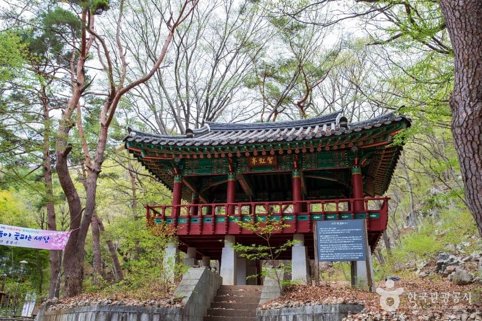 홍룡사(양산) 사진 6