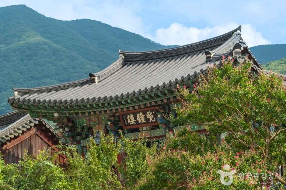 표충사(밀양) 사진 2