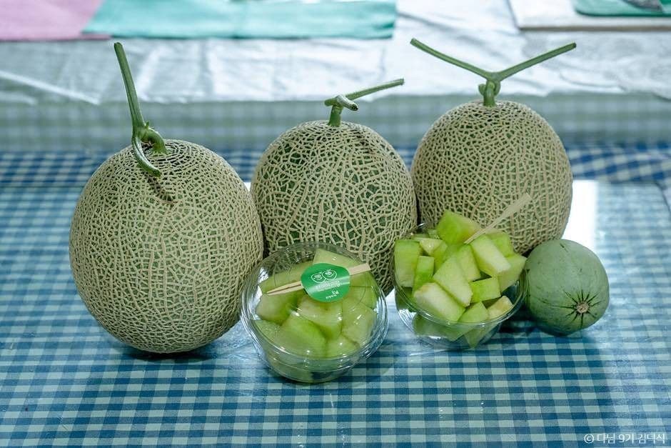 야미야미팜(야미야미팜농업회사법인(주))