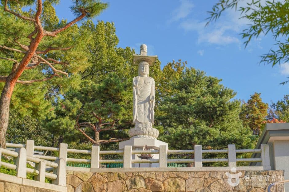 달마사(서울) 사진 1