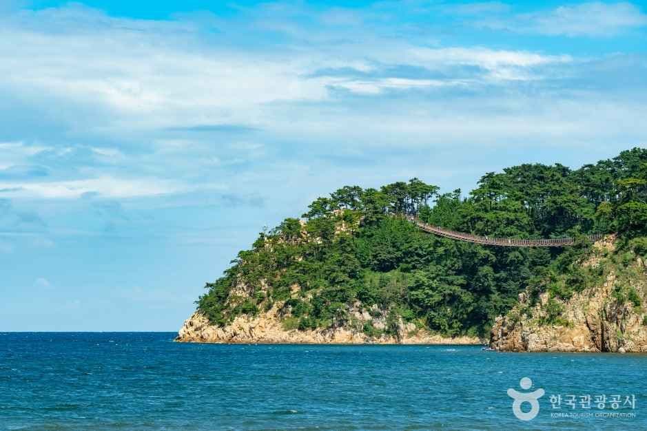 대왕암공원 출렁다리 사진 4