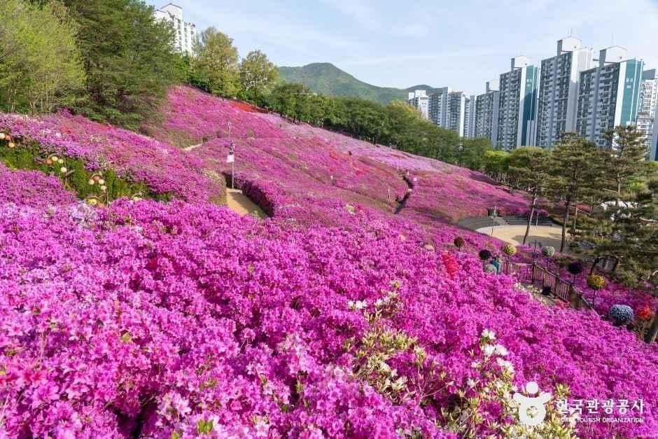 철쭉동산 사진 4